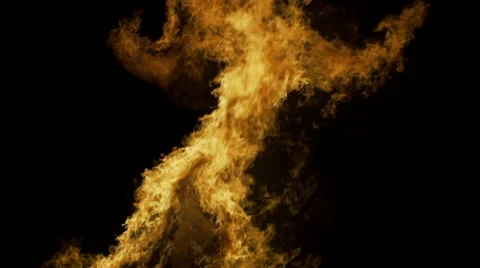 Big Bonfire at night Stock Footage 49100503