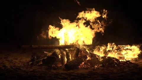 Big bonfire at night. Slow motion Stock Footage 156387309