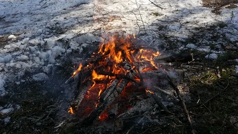 Big bonfire in the spring forest Stock-Footage 105848771