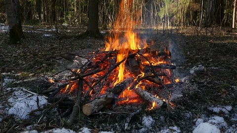 Big bonfire in the spring forest 스톡 동영상 105848862