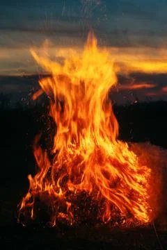 Big bonfire on a sunset background.. Stock Photos