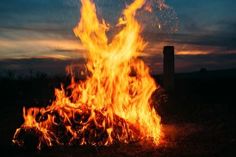 Big bonfire on a sunset background.. Stock Photos