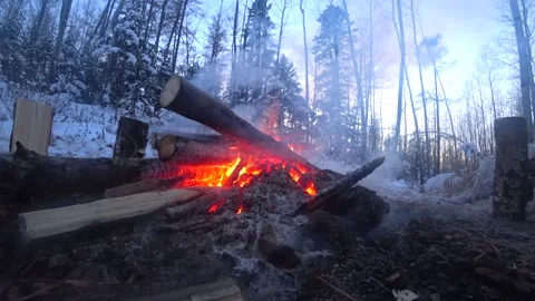 Big bonfire in the winter forest, relax video 4K Stock Footage 146691416