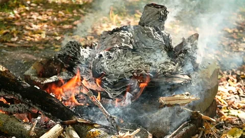 The big book burns on a fire. Sheets of paper lie in tongues of red flame and Stock Footage 97265866