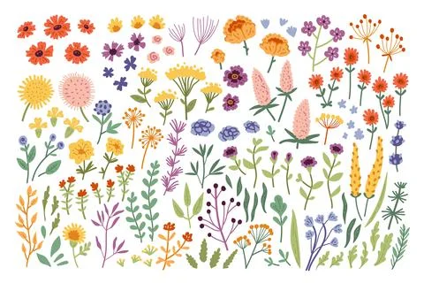 Big botanical set of doodle wild flower other elements. Stock Illustration