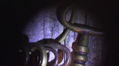 BIG BRASS SKELETON, long zoom out Stock Footage 58719947