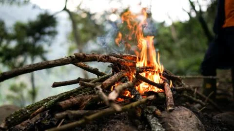Big bright campfire in the forest Stock Photos