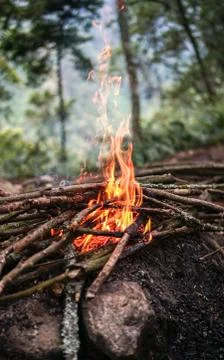 Big bright campfire in the forest Stock Photos