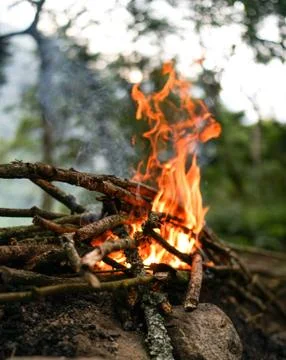 Big bright campfire in the forest Stock Photos