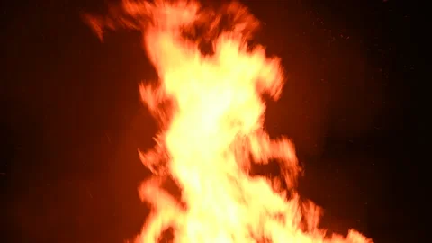 Big bright fire burning against dark background Stock Footage 189819317