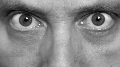 Big brother Stock Footage 42787783