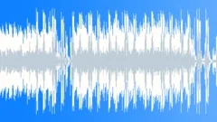 Big Brother Stock Music