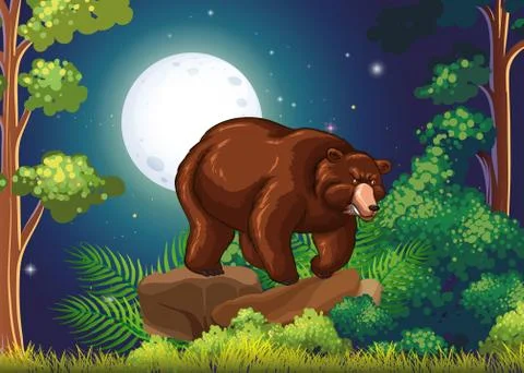Big brown bear in full moon night Ilustração Stock