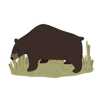 Big brown bear looking at hunter during hunting on nature Stock Illustration