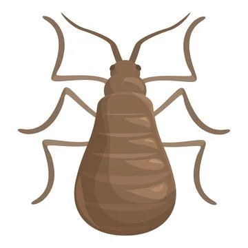 Big brown bedbug spreading its legs on white background Stock Illustration
