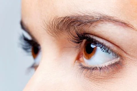 Big brown eyes Stock Photos