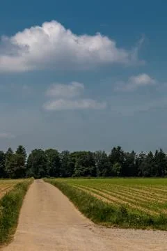 Big brown fields of fertile soil and green forest in the background Stock Photos
