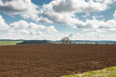 Big brown fields of fertile soil and green forest in the background Stock Photos