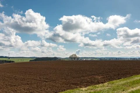 Big brown fields of fertile soil, green forest and wind power in the backgrou Foto stock