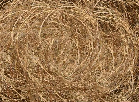 A Big Brown Haybale Roll Background Texture Stock Illustration