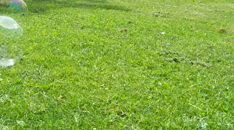 Big bubble 스톡 동영상 449026