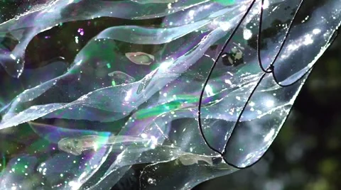 Big bubble shimmering colors of the rainbow Stock-Footage 67090954
