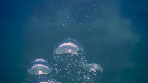 Big bubbles rising to surface of the sea Stock Footage 241086764