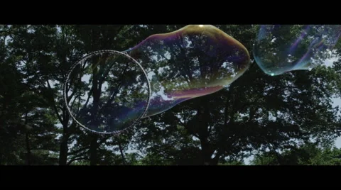 Big Bubbles with trees in background Vidéo 56879964