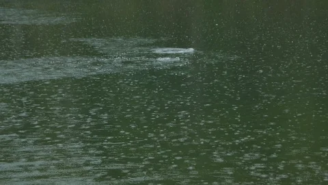Big Bubbles from Under the Water. Lake During the Rain. Stock Footage 127790691
