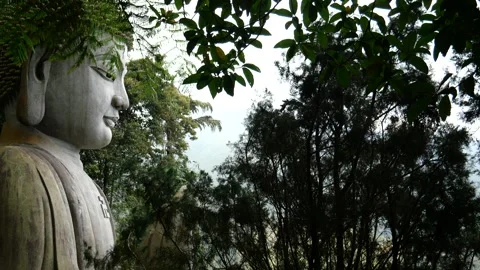 Big Buddha Stock Footage 244916379