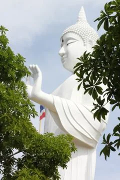 Big Buddha statue with tree Stock Photos