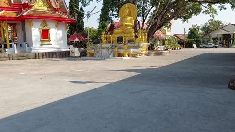 Big Buddha statue under the shade of a tree Stock Footage 261244680