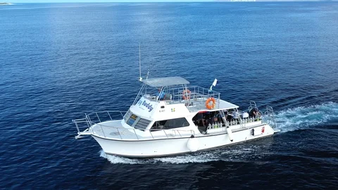 Big Buddy Dive Boat Vídeo Stock 122965269
