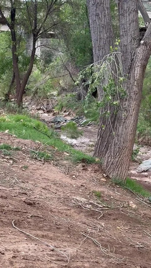 Big Bug Creek Flash Flood Caught on Camera, Yavapai County, Arizona, USA - 13 Se Stock Footage 345760627