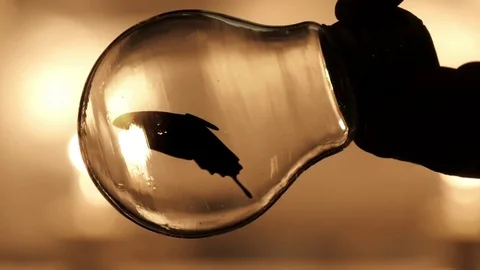 Big Bulb with Butterfly Inside Stock Footage 74249602