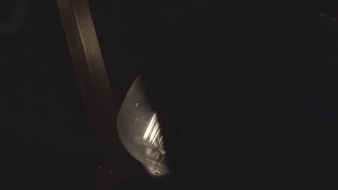 Big Bulb Stock Footage 125886624
