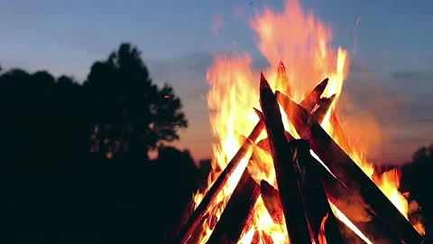 Big Burning Campfire at Summer Evening - Timelapse Stock Footage 202144913