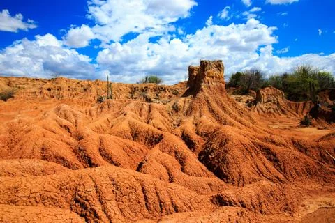 Big cactuses in red desert, clouds and sand, red sand in desert Stock Photos