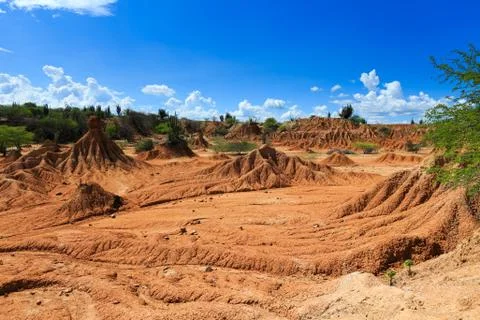 Big cactuses in red desert, clouds and sand, red sand in desert Stock Photos
