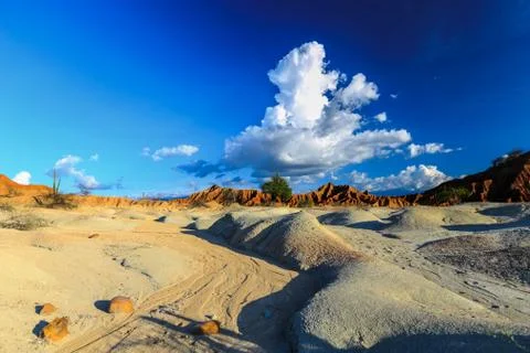 Big cactuses in red desert, clouds and sand, red sand in desert Stock Photos