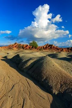 Big cactuses in red desert, clouds and sand, red sand in desert Stock Photos