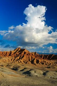 Big cactuses in red desert, clouds and sand, red sand in desert Stock Photos