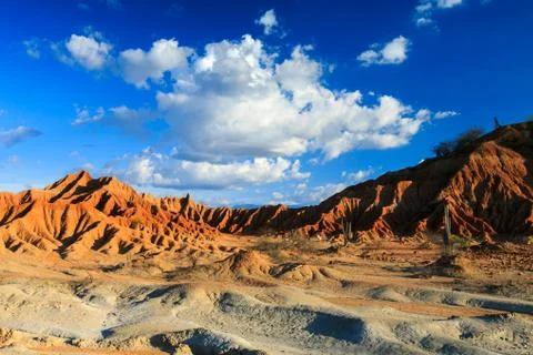 Big cactuses in red desert, clouds and sand, red sand in desert Stock Photos