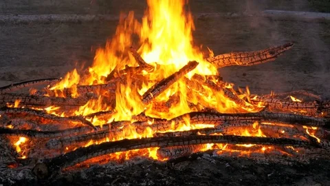 Big Campfire from Branches Burn at Night in the Forest Stock Footage 81305395