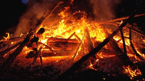 Big Campfire of the Branches Burn at Night in the Forest. Slow Motion Video stock 116010694