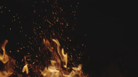 Big Campfire Burning Stock Footage 150696037