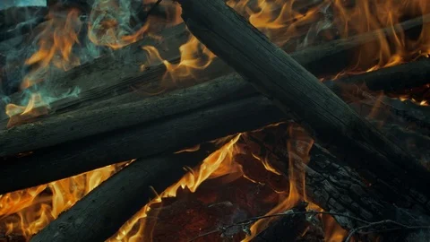 Big Campfire Of Logs Burns Brightly In Forest In Evening.  Stock Footage 113665370