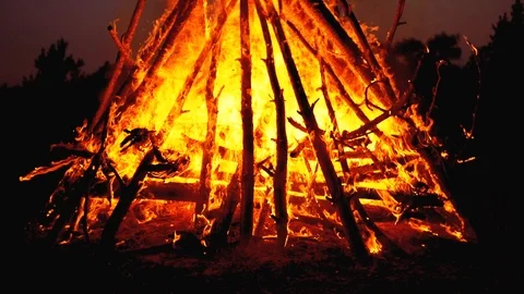 Big Campfire of the Logs Burns at Night in the Forest. Slow Motion in 180 fps Stock Footage 116548359