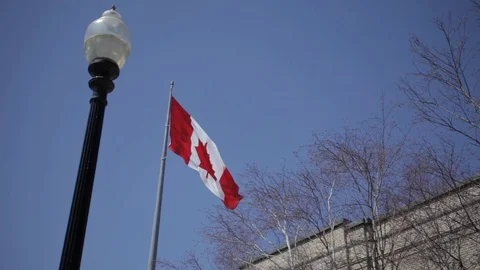 Big Canadian Flag Waving in the Wind in a Clear Blue Sky Next to Brick Building Stock Footage 100780932