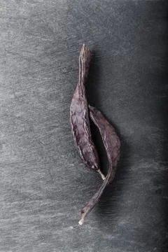 A big Carob Foto stock